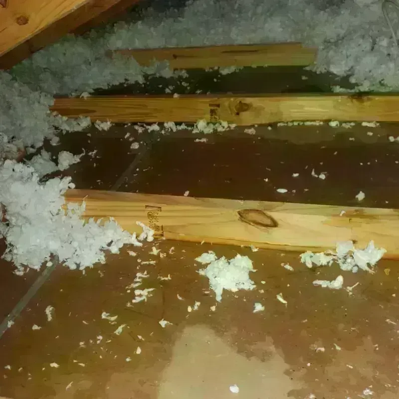 Attic Water Damage in Eleanor, WV