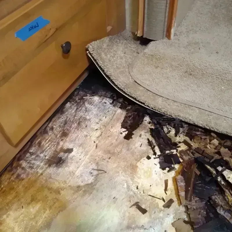 Wood Floor Water Damage in Eleanor, WV